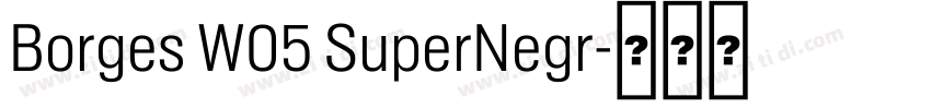 Borges W05 SuperNegr字体转换 Borges W05 SuperNegr字体转换